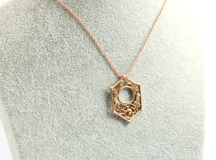 Plant Cell Pendant - Science Jewelry 3d printed Plant Cell Pendant in polished bronze