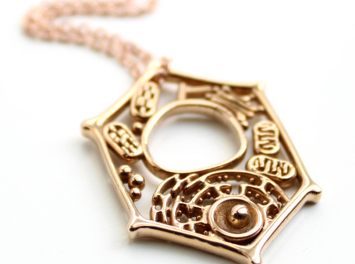 Plant Cell Pendant - Science Jewelry 3d printed Plant Cell Pendant in polished bronze