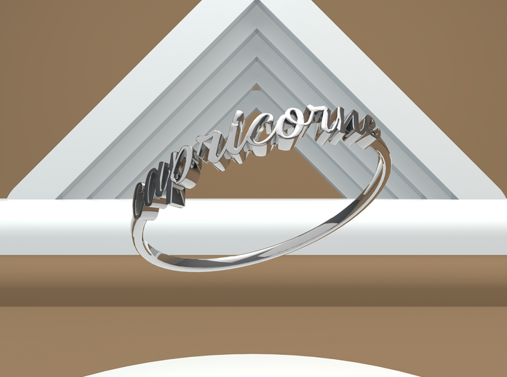 Astrology Ring Capricorne US8/EU57 3d printed Silver Capricorn/ Capricorne ring