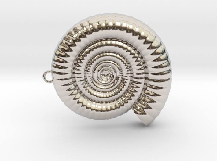 Clamshell - Ammonite Charm 3D Model - 3D Pendant 3d printed