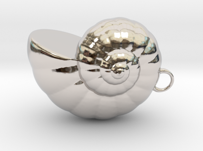 Shell - Snail Mollusc Charm 3D Model - 3D Printing 3d printed