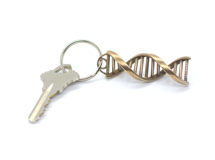  DNA Helix Keychain Charm 3d printed 