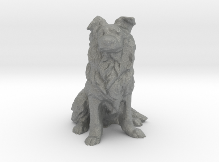 25 mm Border Collie 3d printed This is a render not a picture