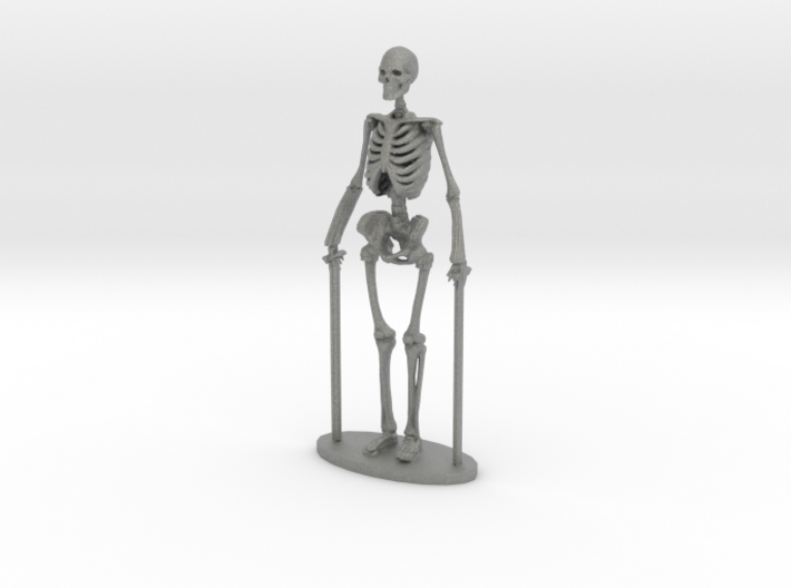 1-35 Scale Standing Skeleton 3d printed This is a render not a picture