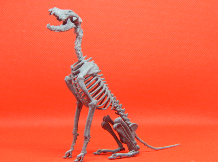 Skeletal Wolf (Sitting) 3d printed