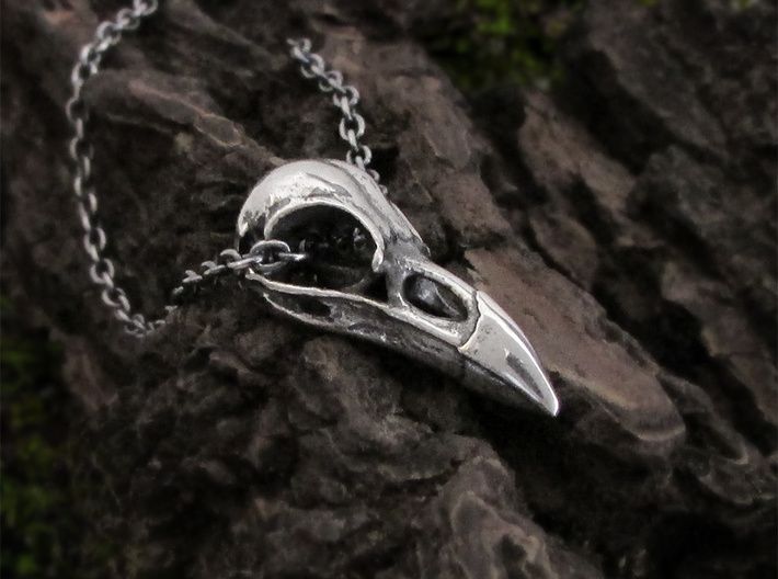 Buy Engraved Raven Skull Pendant Necklace Solid Jewelers Bronze Polished  Finish Three Dimensional Detail Multiple Chain Lengths Online in India -  Etsy