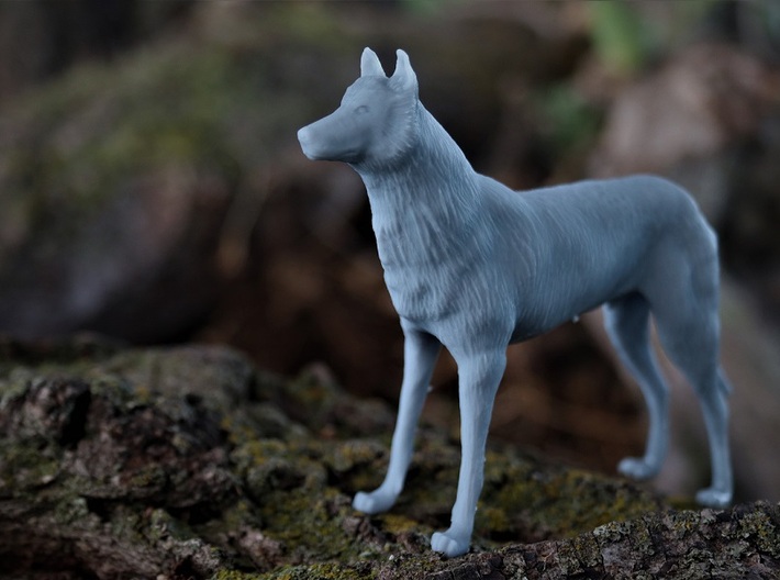 Wolf - High Detail Sculpture 3d printed (Resin model printed on my own printer)