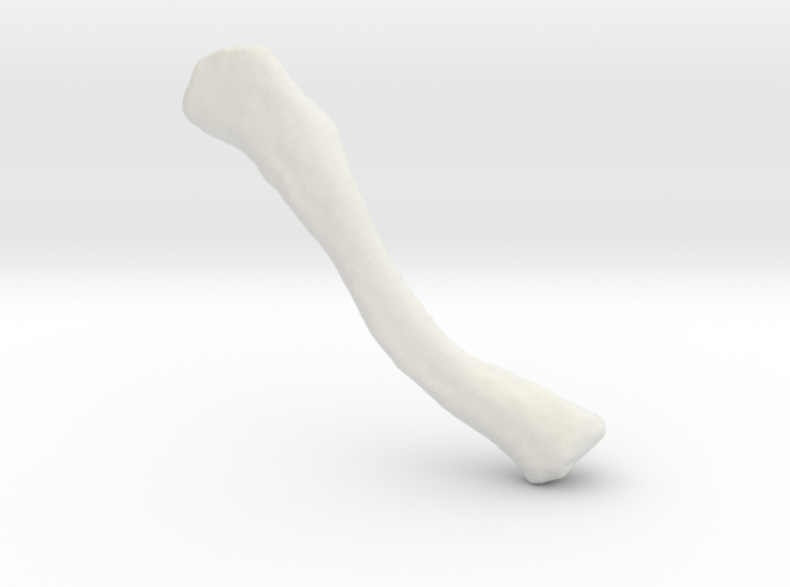 Right Clavicle 3d printed