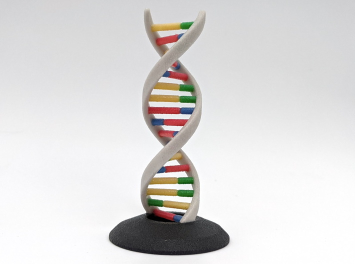 DNA Helix Desk Model Ornament 3d printed