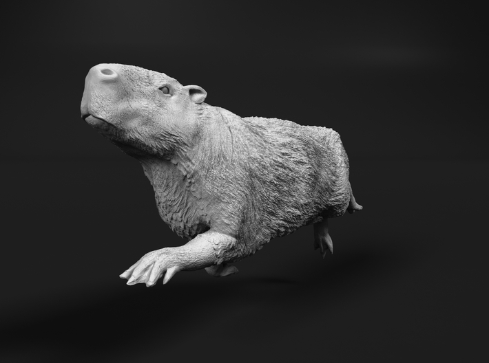 Capybara 1:35 Swimming Male 3d printed 