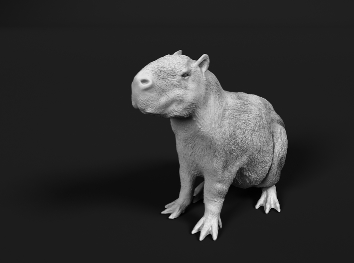 Capybara 1:20 Sitting Young 3d printed
