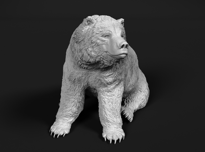 Grizzly Bear 1:87 Sitting Male 3d printed 