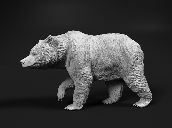 Grizzly Bear 1:20 Walking Female 3d printed 