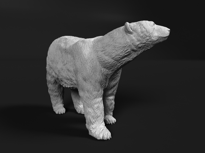 Polar Bear 1:22 Large Male 3d printed 