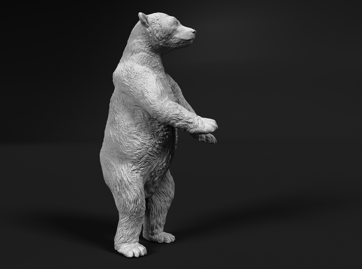 Polar Bear 1:20 Juvenile on two legs 3d printed 