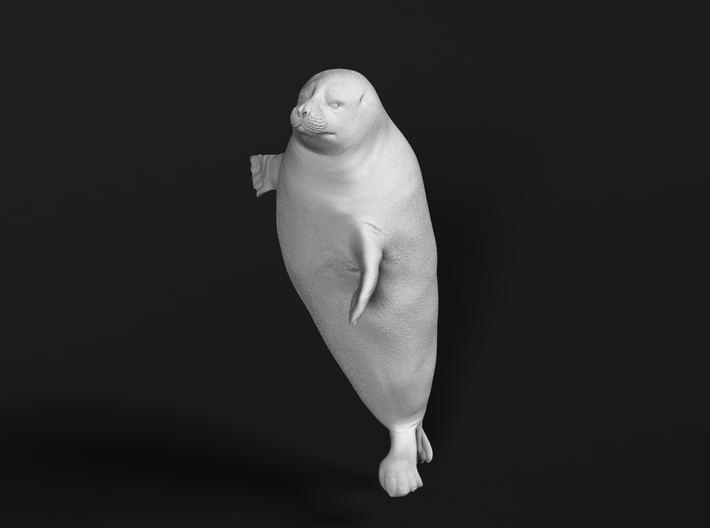 Ringed Seal 1:9 Head above the water 3d printed 