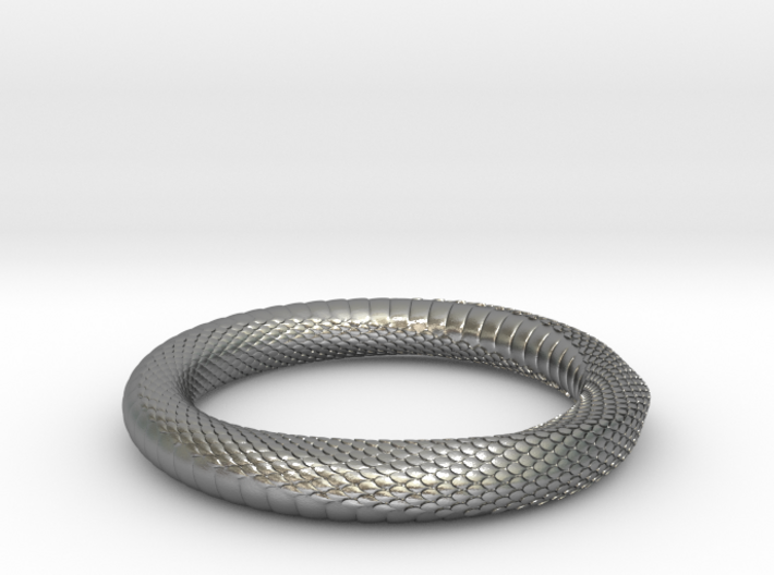 Snake Ring_R05 _ Mobius 3d printed