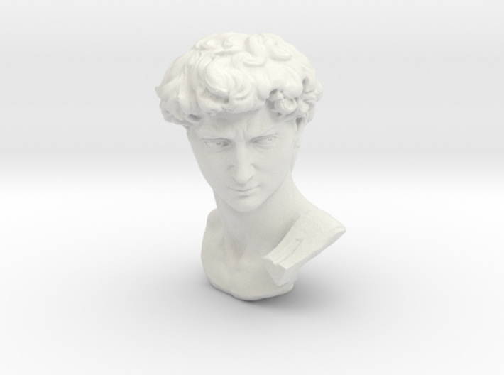 Head of Michelangelo's David 3d printed