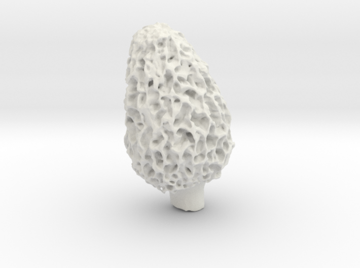 Morel Mushroom 3d printed