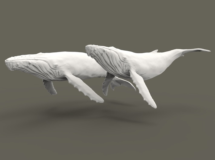 Humpback Whale 1:1000 Set of 2 different pieces 3d printed