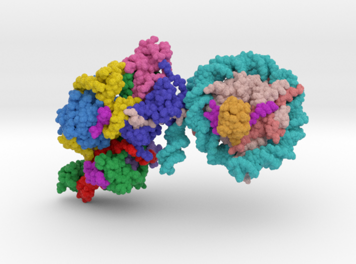 Nucleosome PRC2 6WKR 3d printed