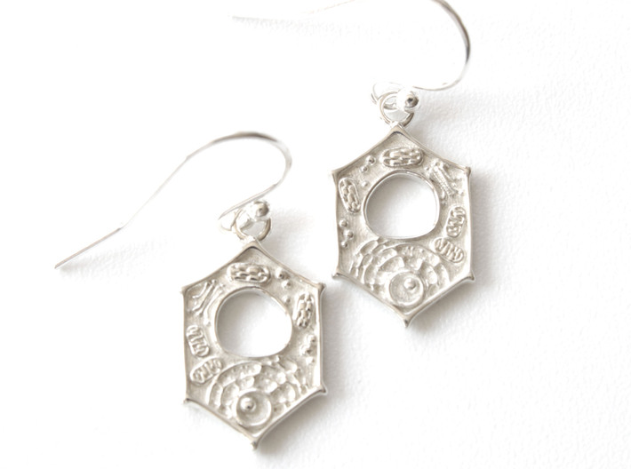 Plant Cell Earrings - Science Jewelry 3d printed Plant Cell Earrings in polished silver