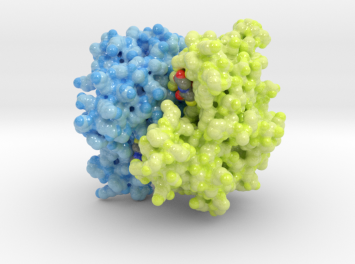 Glutathione S-tranferase 1U3I 3d printed