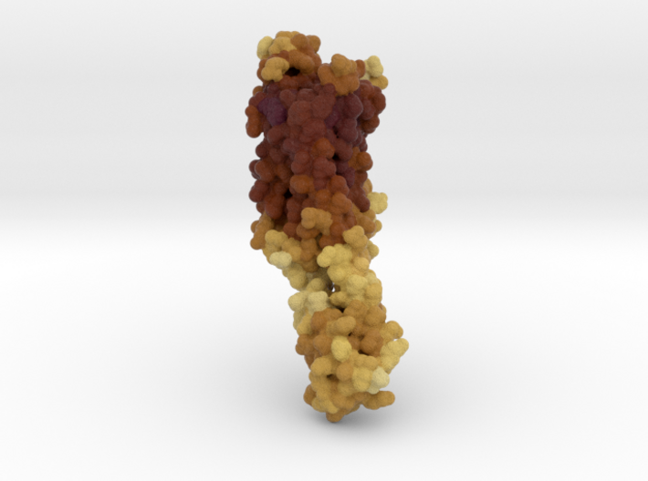 Adenosine Receptor in Complex with Caffeine 5MZP 3d printed