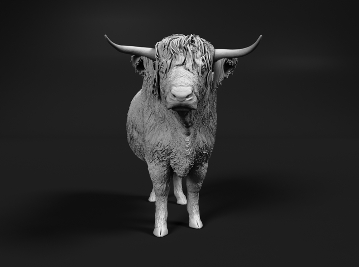 Highland Cattle 1:56 Standing Male 3d printed 