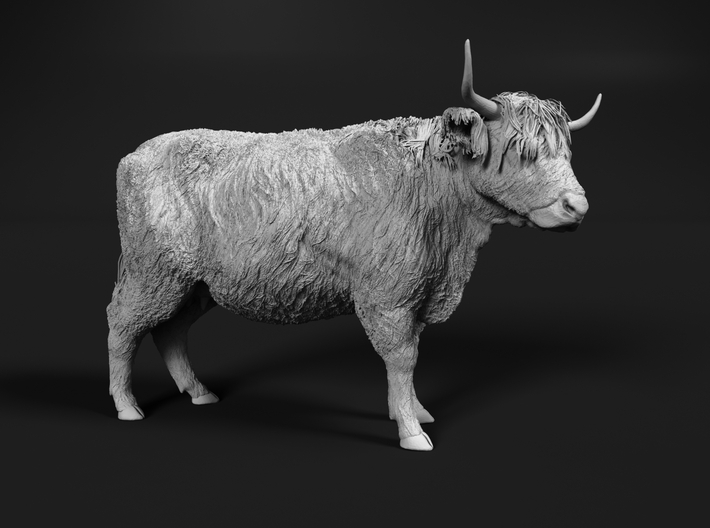 Highland Cattle 1:56 Standing Female 3d printed 