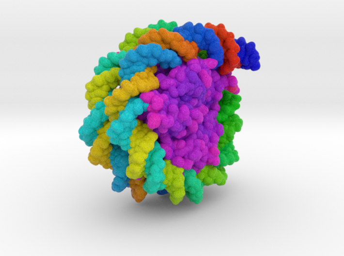 Nucleosome 3C1B vB4 3d printed