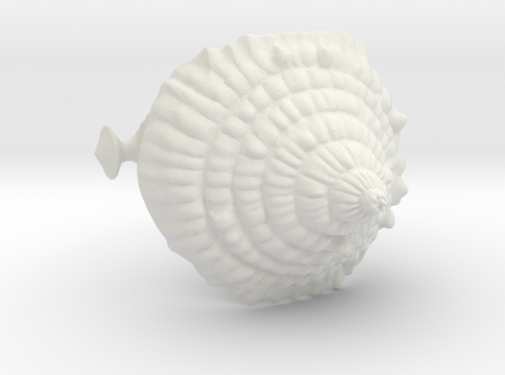 Sea Knee/ Elbow Pad &quot;Sea Snail&quot; 3d printed