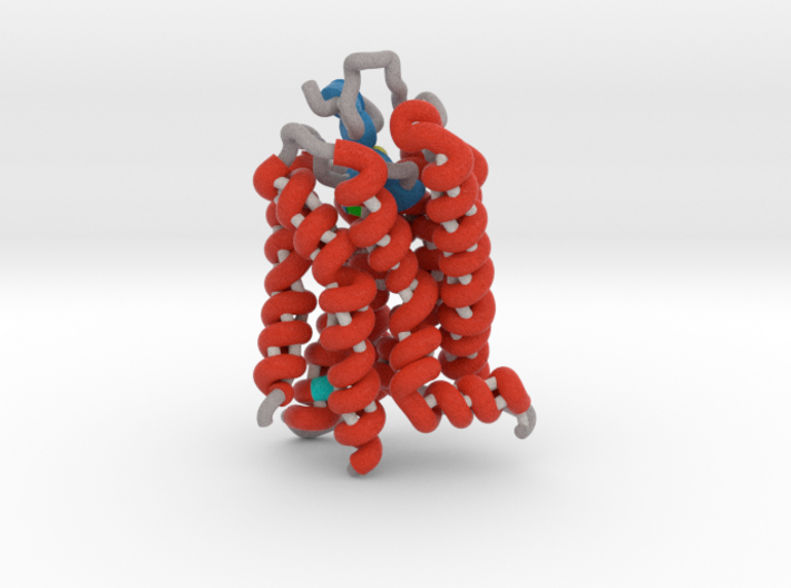 Rhodopsin Ribbon 3d printed