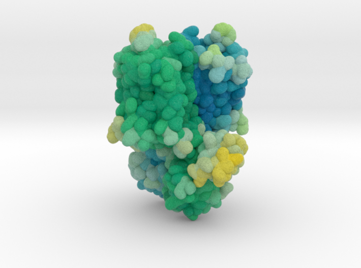 Mu-Opioid Receptor in Complex with Morphinan 4DKL 3d printed