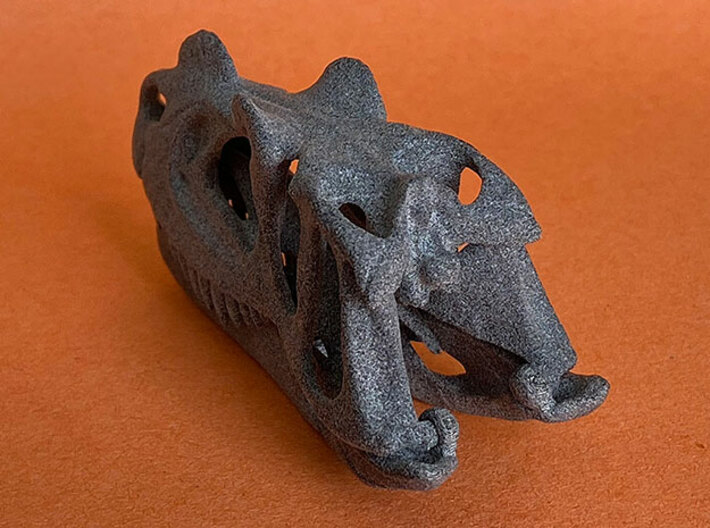 Ceratosaurus skull - dinosaur model 3d printed Actual photo - unpainted model