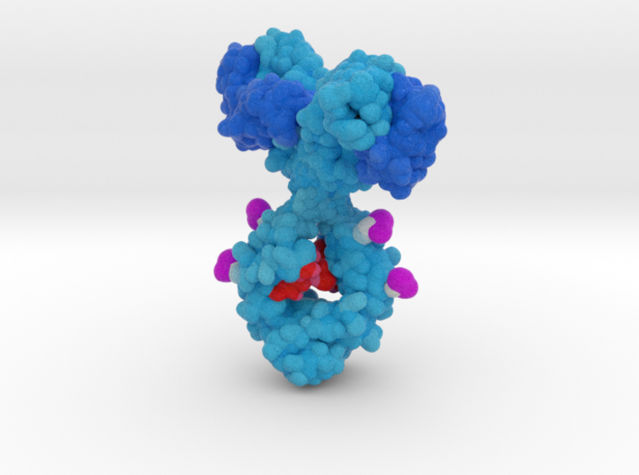 Antibody Drug Conjugate x4 3d printed