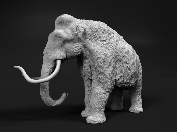 Woolly Mammoth 1:72 Standing Female 3d printed 