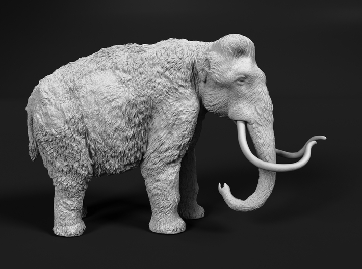 Woolly Mammoth 1:87 Standing Female 3d printed