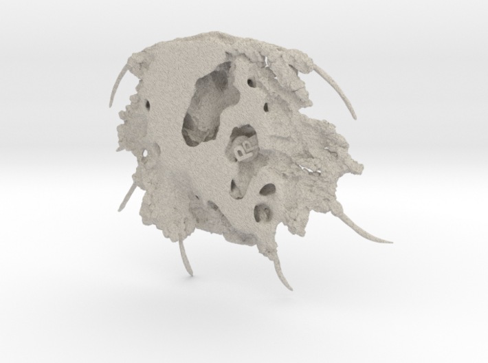 Trilobite - Boedaspis ensifer 3d printed