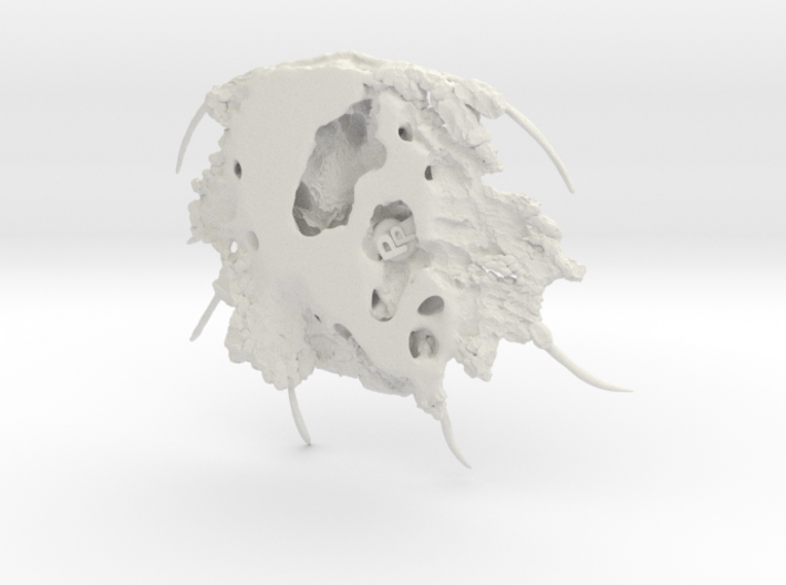 Trilobite - Boedaspis ensifer 3d printed