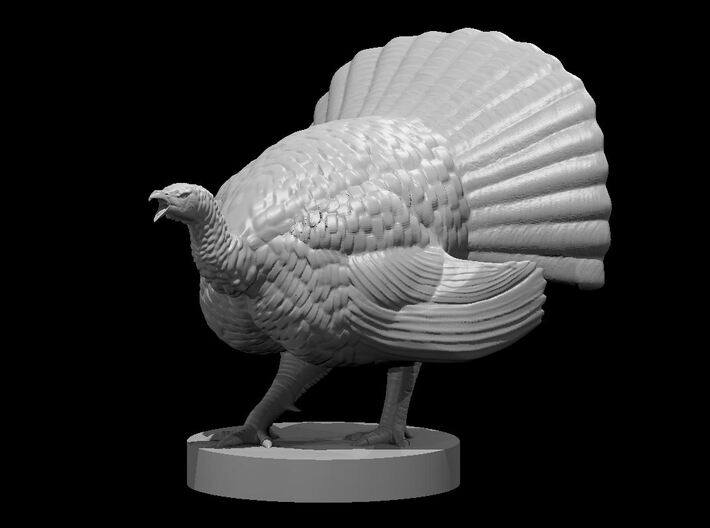 Turkey Dangerous Pose 3d printed