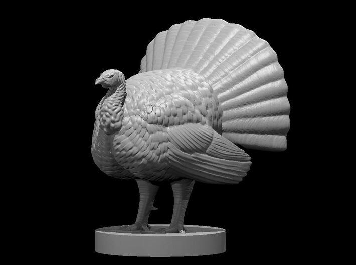 Turkey Neutral Pose 3d printed