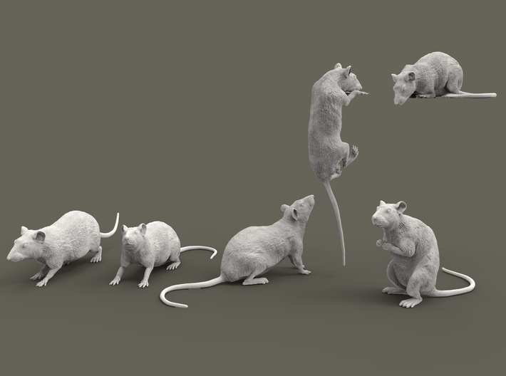 Brown Rat set 1:72 six different pieces 3d printed