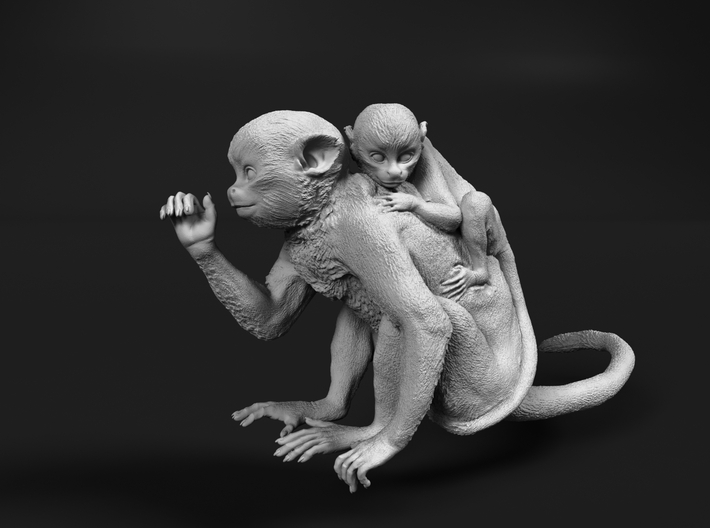 Squirrel Monkey 1:6 Female with baby 1 3d printed