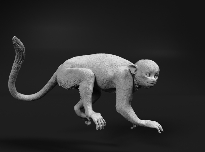 Squirrel Monkey 1:16 Male in tree 2 3d printed