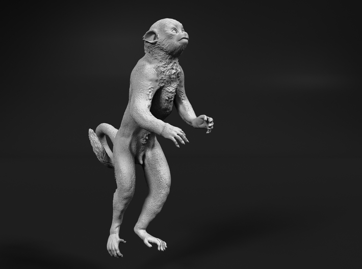 Squirrel Monkey 1:25 Male in tree 3 3d printed