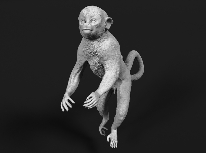Squirrel Monkey 1:25 Male in tree 3 3d printed 