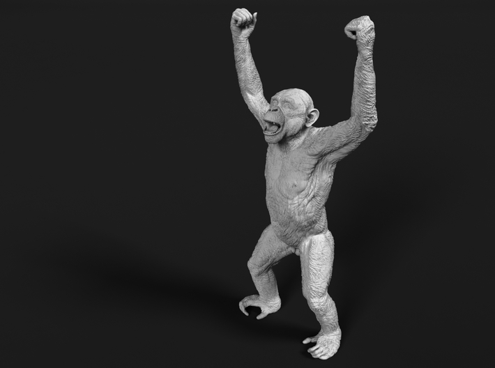 Chimpanzee 1:24 Male with raised arms 3d printed 