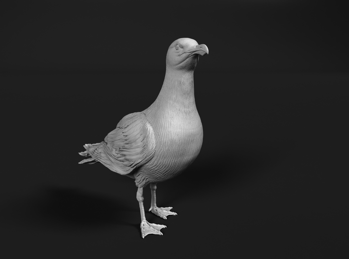 Glaucous Gull 1:25 Standing 1 3d printed 