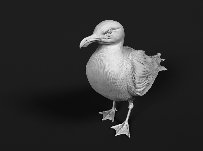 Glaucous Gull 1:32 Standing 2 3d printed 